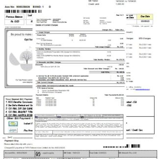 Tata Indicom mobile utility business bill, page 2, SCR download template file