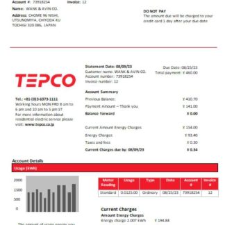 Tokyo Electric Power Company (TEPCO) electricity utility business bill, SCR download template file