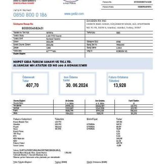 Turkey Gediz Elektrik business utility bill template in Word and PDF formats, fully editable download template file