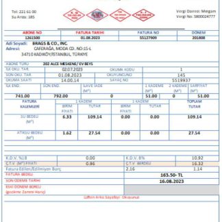 Turkey water utility business bill, SCR download template file