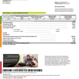 UAE Etisalat business utility bill template in Word and PDF formats download template file