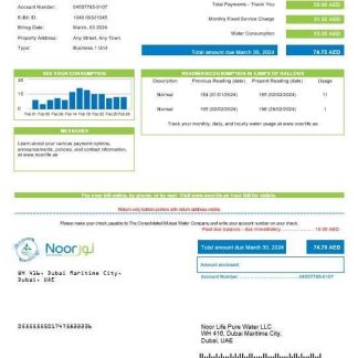 UAE Noor Life Pure Water LLC business utility bill template in Word and PDF formats download template file