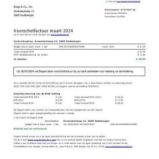 Belgium Elegant business utility bill Word and PDF template download template file