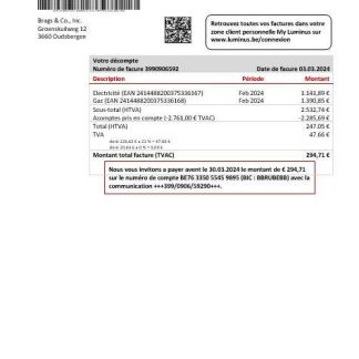 Belgium Luminus business utility bill template in Word and PDF format download template file