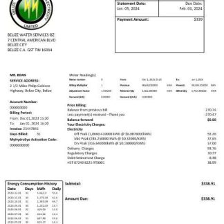 Belize Electricity Limited electricity business utility bill template in Word and PDF format download template file