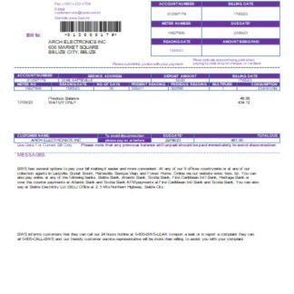 Belize Water Services Limited utility business bill, SCR download template file