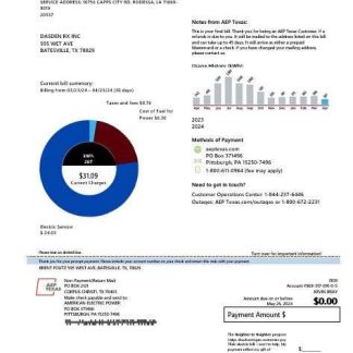 USA AEP Texas electricity business utility bill template in Word and PDF formats download template file