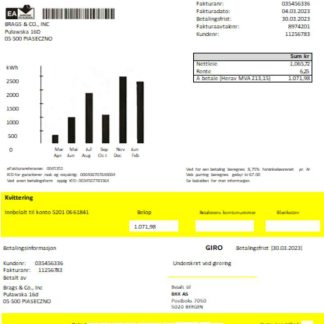 BKK electricity utility business bill SCR download template file