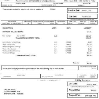 USA BRANDON MISSISSIPPI business utility bill Word and PDF template download template file
