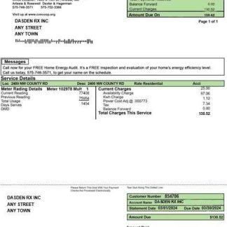 USA CENTRAL VALLEY ELECTRIC business utility bill Word and PDF template download template file