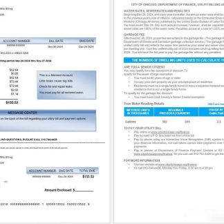 USA CITY OF CHICAGO business utility bill Word and PDF template download template file