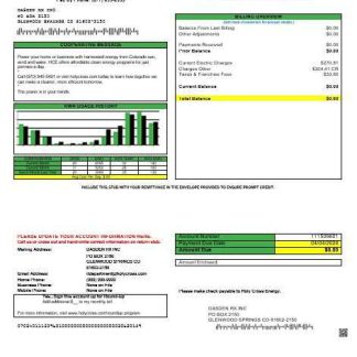 USA Colorado Holy Cross Energy business utility bill template in Word and PDF formats download template file