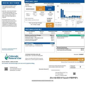 USA Colorado Natural Gas business utility bill template in Word and PDF formats download template file