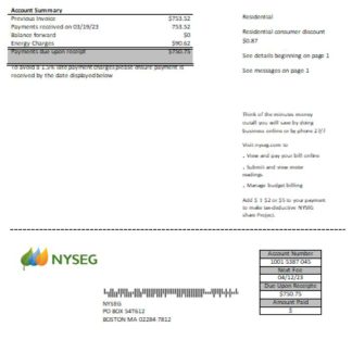 Boston NYSEG electricity utility business bill, SCR download template file