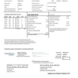 USA Columbia Gas of Ohio business utility bill template in Word and PDF formats download template file