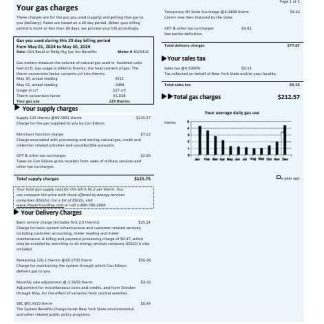 USA Con Edison gas business utility bill template in Word and PDF formats download template file