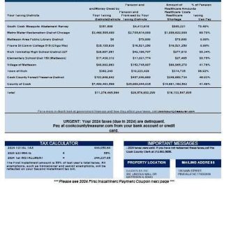 USA Cook Country Electronic Bill business utility bill download Word and PDF example download template file