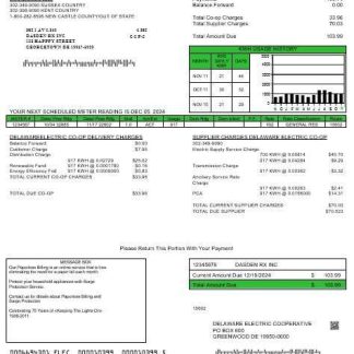 USA Delaware Electric Co op business utility bill template in Word and PDF formats download template file