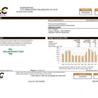 USA DLC business utility bill Word and PDF template, version 2 download template file