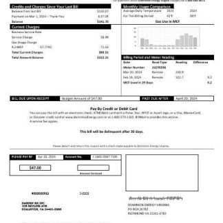 USA Dominion Energy business utility bill template in Word and PDF formats download template file
