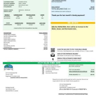 USA Florida City of Edgewater business utility bill template in Word and PDF formats download template file