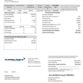USA Florida Public Utilities business utility bill template in Word and PDF formats download template file