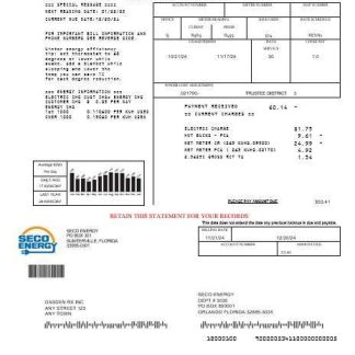 USA Florida Seco Energy business utility bill template in Word and PDF formats download template file