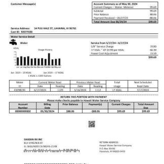 USA Hawaii Water Service Company business utility bill template in Word and PDF formats download template file
