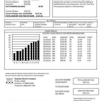 USA Hawaiian Electric business utility bill template in Word and PDF formats download template file