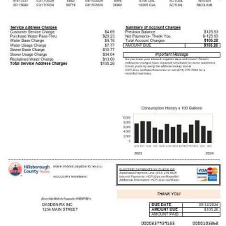 USA Hillsborough County business utility bill template in Word and PDF formats download template file