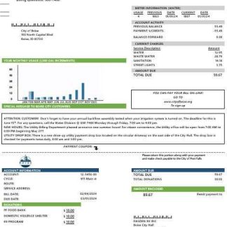 USA Idaho Boise City of Trees water business utility bill template in Word and PDF formats download template file