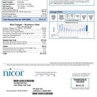 USA Illinois Nicor gas business utility bill template in Word and PDF formats download template file