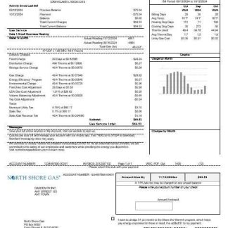 USA Illinois North Shore Gas business utility bill template in Word and PDF formats download template file