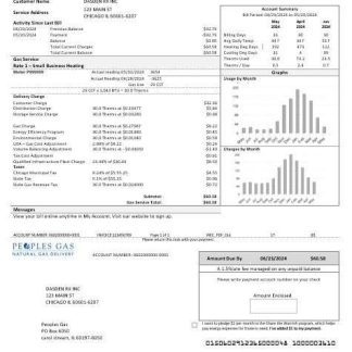 USA Illinois Peoples Gas business utility bill template in Word and PDF formats download template file