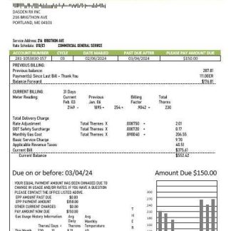USA Maine Natural Gas Portland business utility bill template in Word and PDF formats download template file