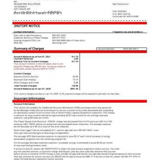 USA Michigan DTE Energy business utility bill template in Word and PDF formats download template file