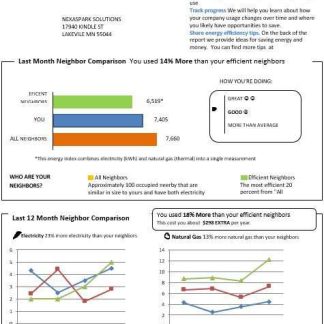 USA Minnesota Xcel Energy business utility bill template in Word and PDF formats download template file