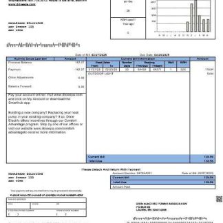 USA Mississippi Dixie Electric business utility bill template in Word and PDF formats download template file