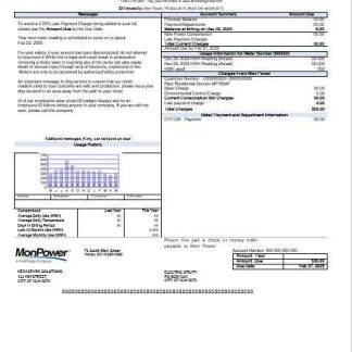 USA Mon Power business utility bill template in Word and PDF formats download template file