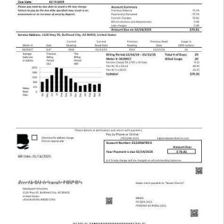 USA Nevada Big Bend Water District business utility bill template in Word and PDF formats download template file