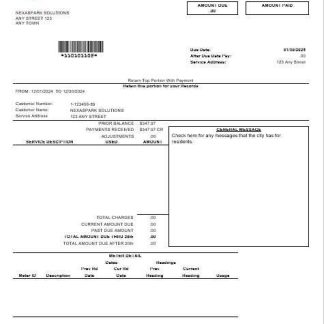 USA Nevada Orono The Lakehore City business utility bill template in Word and PDF formats download template file