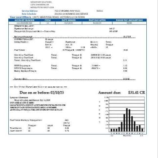 USA Nevada Southwest gas Corporation business utility bill template in Word and PDF formats download template file