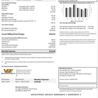 USA Nevada Waterloo North Hydro business utility bill template in Word and PDF formats (version 2) download template file