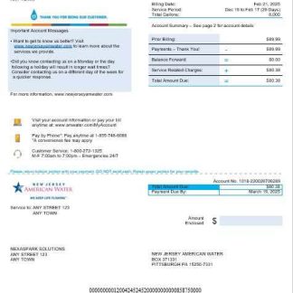 USA New Jersey American water business utility bill Word and PDF template download template file