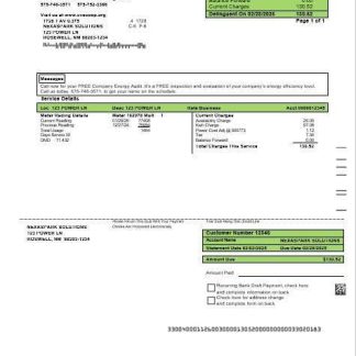 USA New Mexico electricity proof of address business utility bill template in Word and PDF formats download template file