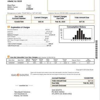 USA New York Gas South business utility bill template in Word and PDF formats download template file
