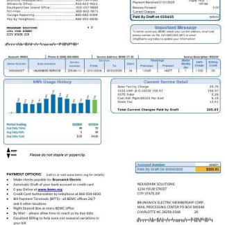 USA North Carolina Brunswick Electric business utility bill template in Word and PDF formats download template file