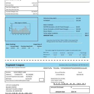 USA North Carolina City of Charlotte water business utility bill template in Word and PDF formats download template file