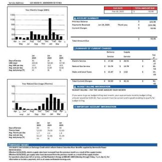 USA NorthWestern Energy business utility bill template in Word and PDF formats, version 1 download template file