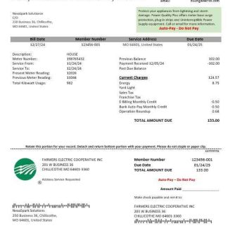 USA Ohio Farmer’s Electric Cooperative business utility bill template in Word an PDF formats download template file
